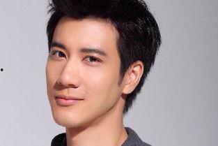 王力宏的个人资料,音乐才子、演员、歌手的多面人生